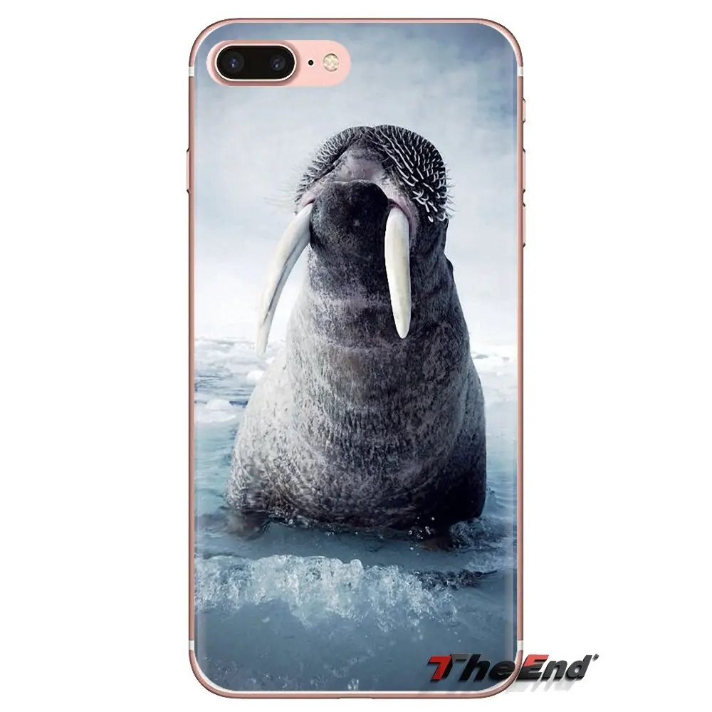 TPU Shell Case Walrus Odobenus rosmarus Russian Arctic For Samsung Galaxy J1 J2 J3 J4 J5 J6 J7 J8 Plus 2018 Prime 2015 2016 2017 |