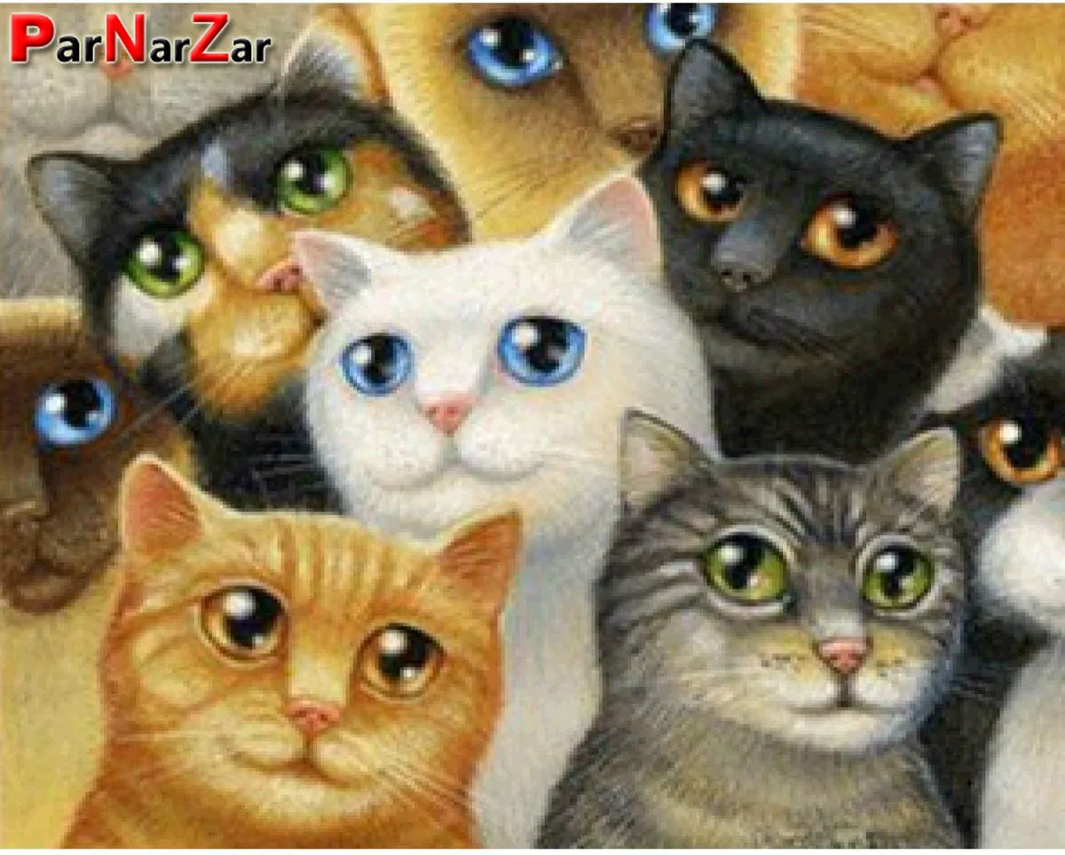 

ParNarZar DIY 5D Diamond Painting Full Round Drill Kit Rhinestone Picture Art Craft for Home Wall Decor