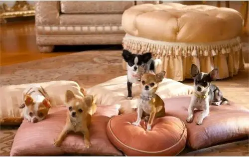 Животные Щенок Собака детская комната настенное украшение тканевый постер