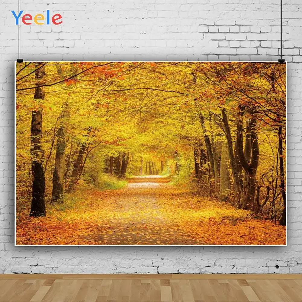 Фоны для фотосъемки Yeele свадебные обои осеннего леса дороги персонализированные