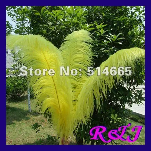 

Wholesale 20PCS Quality Natural OSTRICH FEATHERS 26-28inch 65-70cm yellow ostrich feather EMS Free Shipping