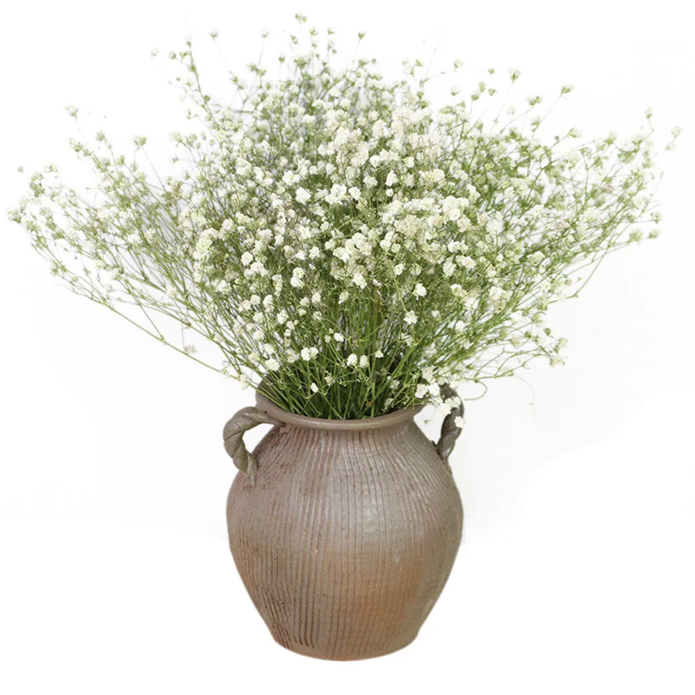 

Natural Fresh Dried Preserved Flowers Gypsophila Paniculata Baby Breath Flower Bouquets Gift For Wedding Party Home Dekoration