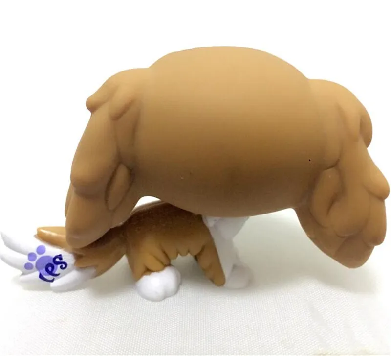 Магазин домашних животных Lps игрушки кошка стоящая редкая маленькая собака колли