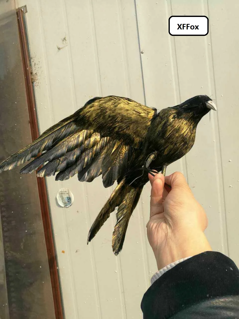 

Реальная жизнь крылья ворона птица Модель Пена и перо моделирование черная кукла-птичка подарок около 40x25 см xf0818