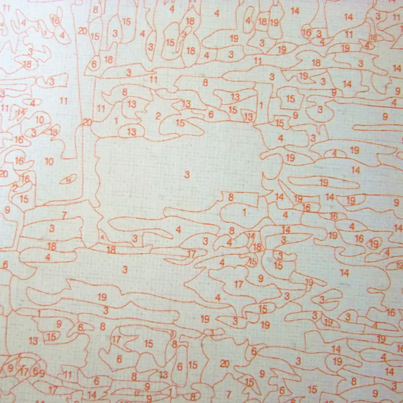 Бескаркасная картина по номерам ручная роспись цифровая маслом DIY на холсте