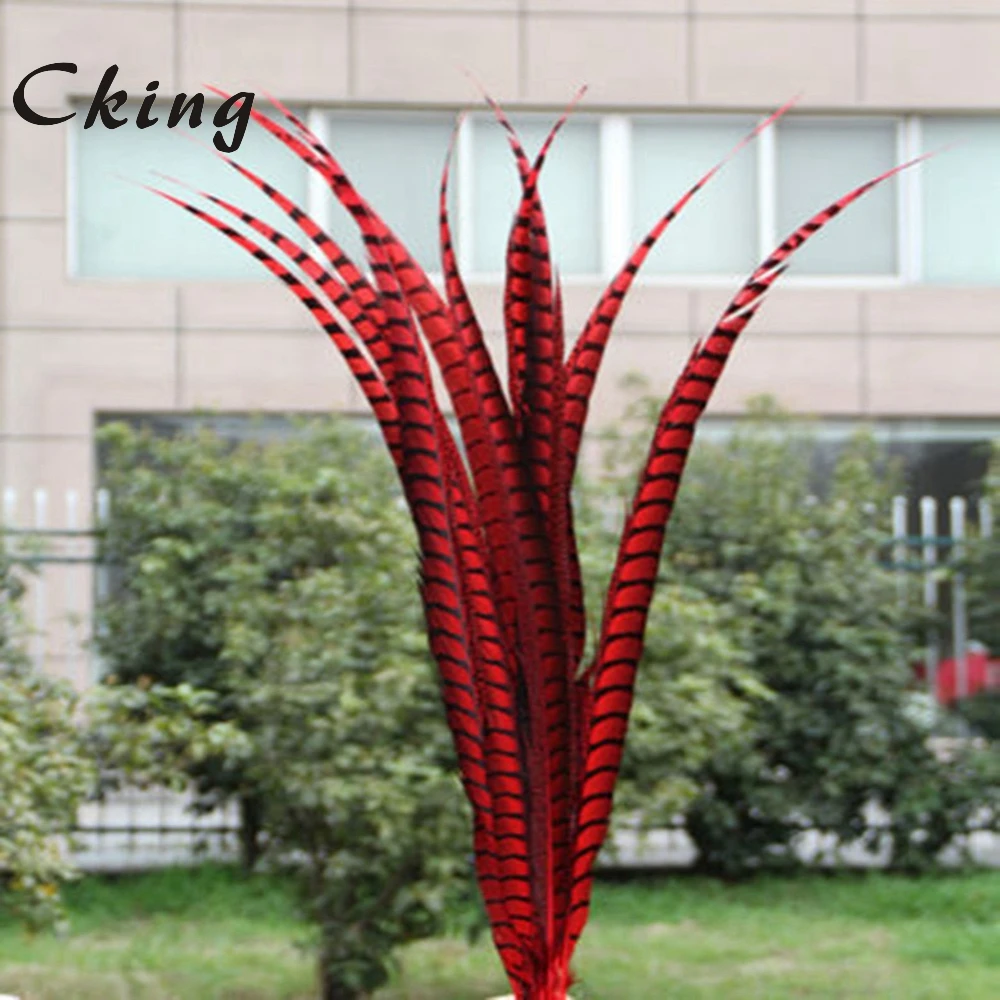 Free shipping 20pcs Red color pheasant side tails Feather 70-80cm long chicken feathers pllumes for headwear showgirl backpieces | Дом и сад