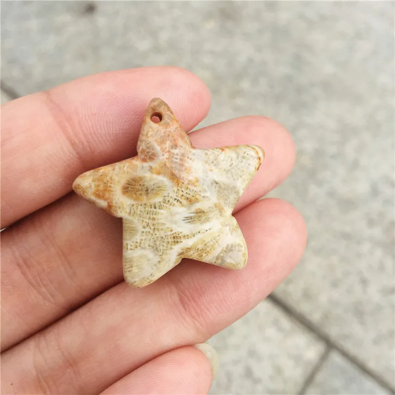 Красивый Натуральный Коралл окаменелые хризантемы звезды счастливый амулет