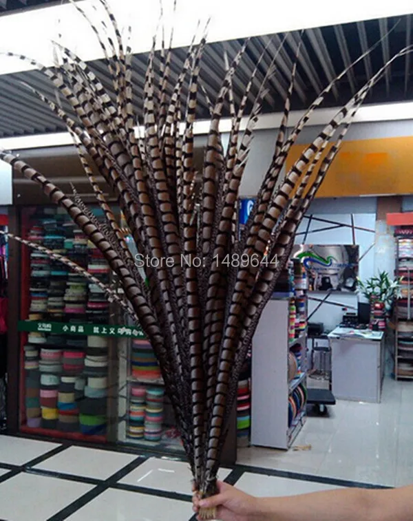 Бесплатная доставка 100-110см40-45 дюймов 60 шт натуральный цвет ringneck pheasant feather Lady Amherst