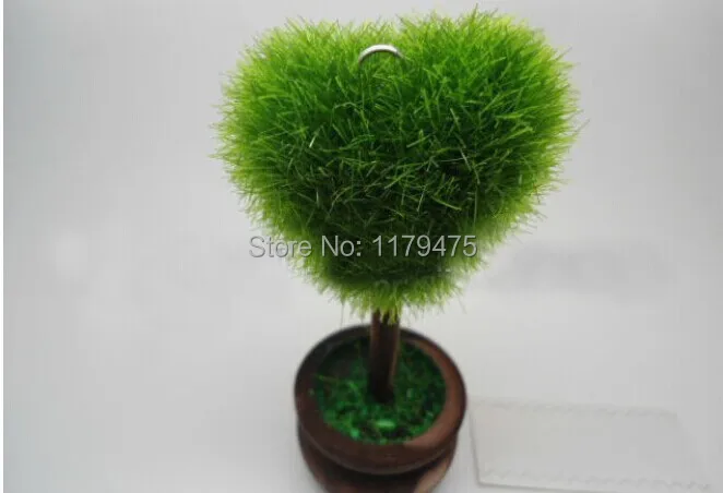 10 X Горячая продажа зеленая в форме сердца горшечные растения место держателей