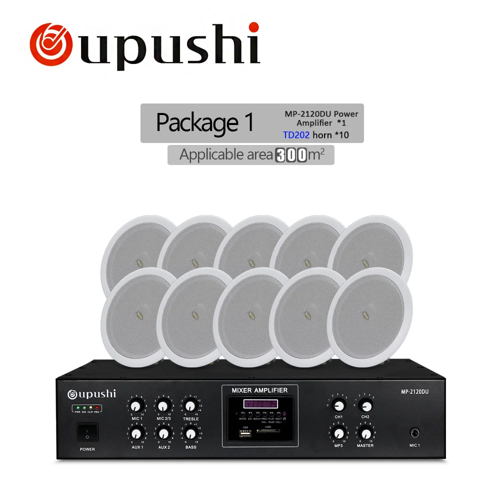 10spk with AMP Горячая аудио и PA система для магазина bluetooth фоновая музыкальная система для отеля звуковая система ресторана - Цвет: 10spk with AMP