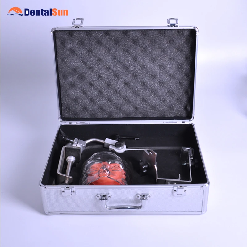 

High Quality Advanced Dental Phantom Head with Replacement Teeth