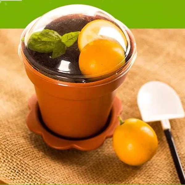 

6 Colors Upick--20pcs/Lot DIY Cake Utensils Pots Cake Cup Cake Box With Spoons Cover Baking Pastry Tools Also As FlowerPot