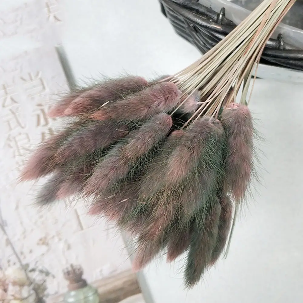 Gradient Pink 30 шт./лот, градиентный букет из натуральных сушеных цветов с изображением лагуруса оватуса, свадебные украшения для дома, Кролик хвост, трава, настоящие цветы - Цвет: Gradient Pink