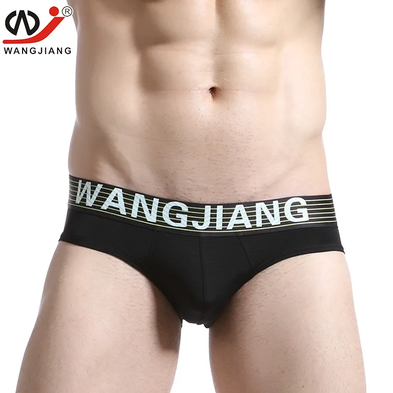 WJ Men briefs sexy underwear shorts men G-strings gay penis pouch Jockstraps Nylon Silky Sheer underpants |