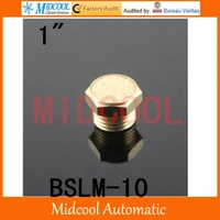 free shipping bslm 10 points flat muffler mini miniature port 1