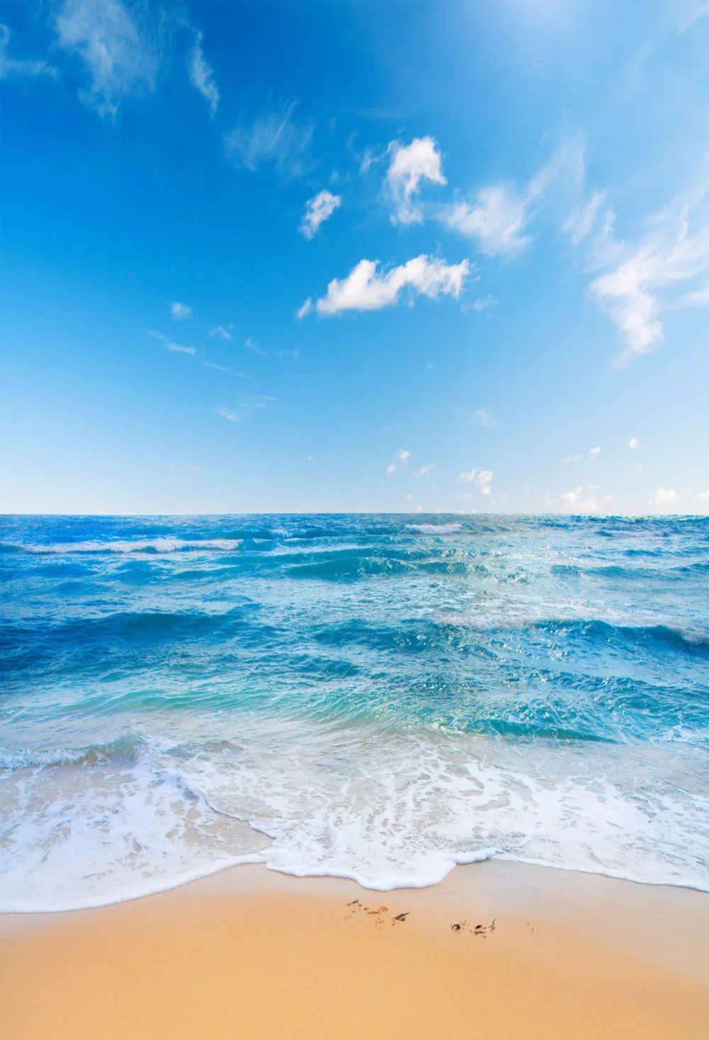 Фотофон VinylBDS 10x20ft для отдыха на море фон фотосъемки детей|photo backdrops|backdrops for photographyfor