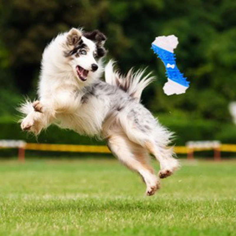 Молярная игрушка для домашних животных синий тренер щенков желтый TPR резиновая