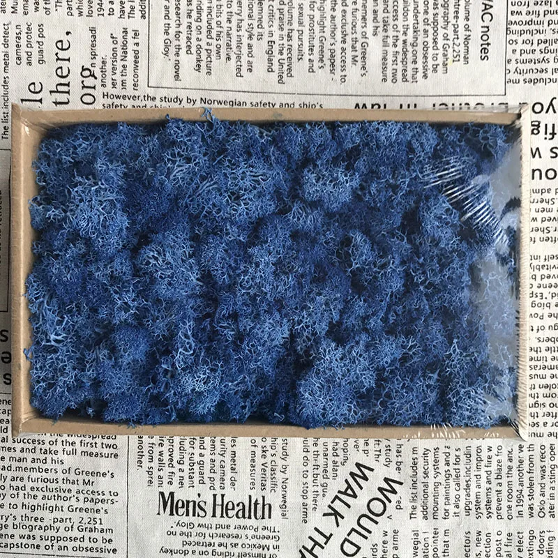 200 г DIY украшения Рождественские подарки долговечные сохраненные цветы мох