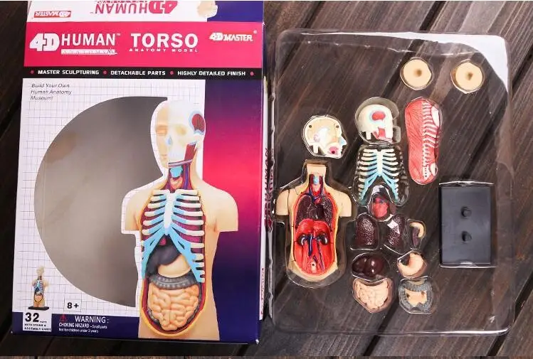 Медицинский человеческий череп телефон диаметром 15 дюймов роскошная модель для