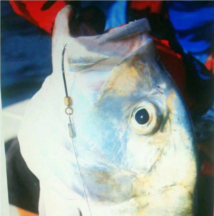 [5 шт./лот] Новый рыболовный крючок Sharp с зазубринами крюк снасти прокатки