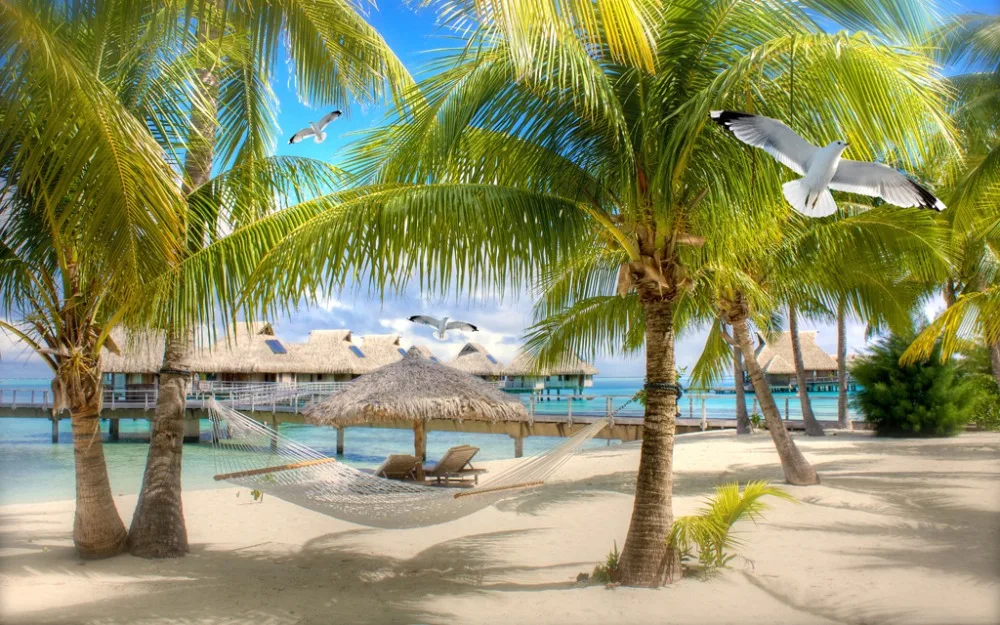 Шторы пляжные Кокосовые для спальни гостиной 3d стереоскопические окна ландшафта|Занавески| |