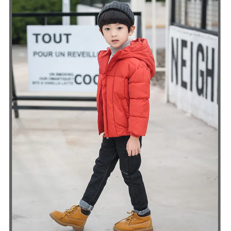 2018 новая зимняя одежда для детей Повседневная хлопковая куртка с капюшоном