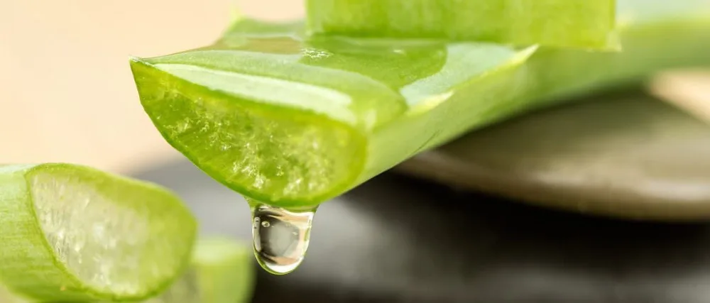 Натуральный Чистый гель алоэ вера 100% успокаивающий прозрачный 100 мл увлажняющие