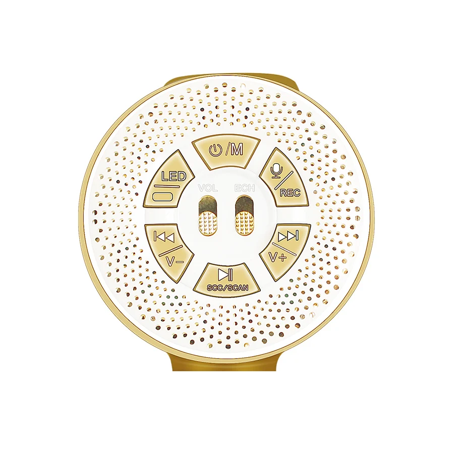 WS669 беспроводной Bluetooth караоке микрофон динамик портативный музыкальный плеер
