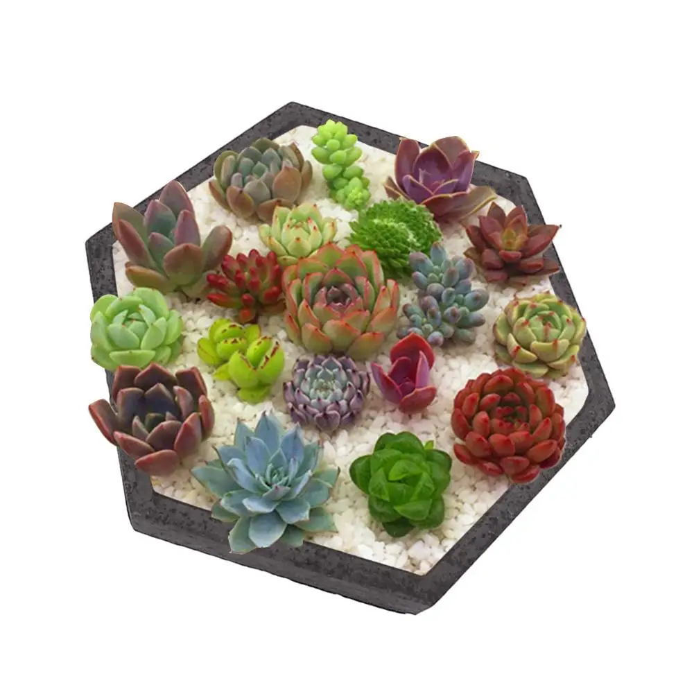 

1Pcs Hexagon Shaped Cement Flowerpot Bottom Tray Molds Crafts Home Decoration Concrete Planter Pallet Silicone Mold