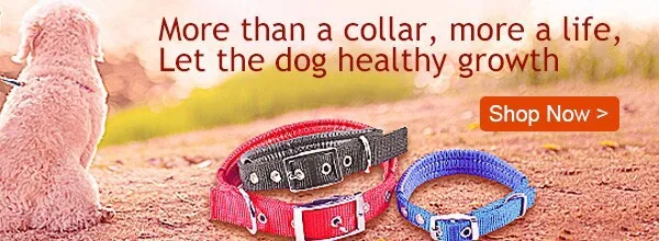 Pet Dog складные солнцезащитные очки, средние большие собачьи очки, большие очки для животных, солнечные очки для собак, товары для питомцев на открытом воздухе