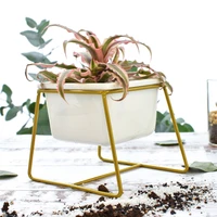 modern style indoor desktop small planter square black iron rack holder with white ceramic flower pot for succulents plants 1pcs