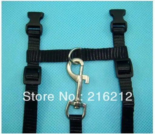2 цвета регулируемый ремень котенка нейлоновый ошейник застежка поводок