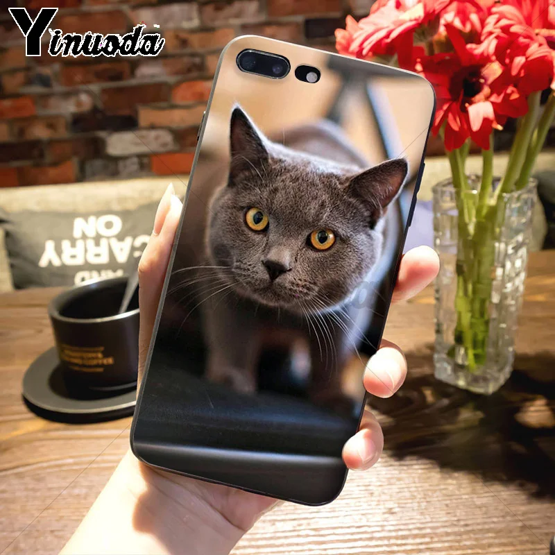 Чехол Yinuoda для телефона из мягкого ТПУ с изображением милых английских коротких