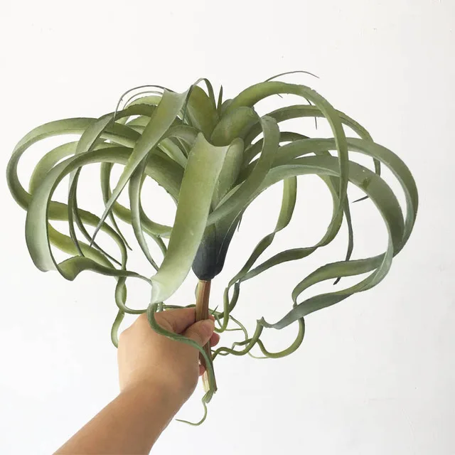 Детские хлопковые конфеты bulbosa искусственный осьминог искусственное растение