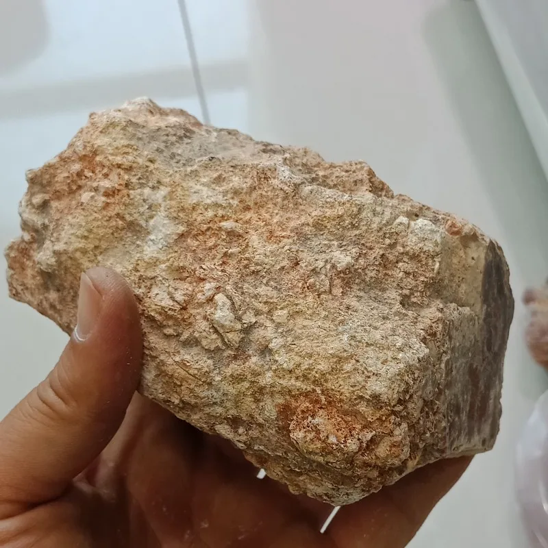 DHXYZB 200-600 г натуральное окаменелое дерево камень сырой камень Кристалл кварц минеральный с лечебным действием, образцы рейки домашний декор