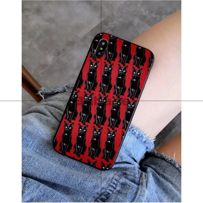 A13 Babaite Chilling adventures of Sabrina TPU Мягкий силиконовый черный чехол для iPhone X XS MAX 6 6s 7 7 plus 8 8 Plus 5 5S SE XR - Цвет: A13