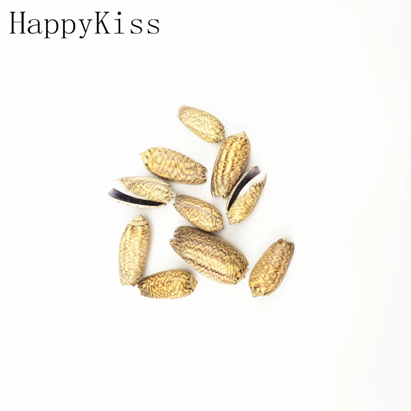 Бесплатная доставка Лидер продаж новинка 10 шт./лот натуральная Морская ракушка