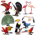 Оригинальная имитация попугая фигурка Oenux, фламинго, тукан, павлин, модель, птица, животные, миниатюрная фигурка, игрушка для детей, подарок