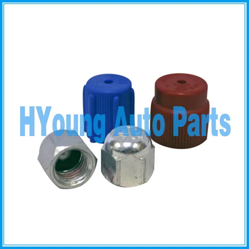 

Valve Core Remover/Installers, Retrofit Adapters,INDIVIDUAL TERMINATION (BLOCK OFF) CAPS,Low Side Blue Cap,High Side Red Cap