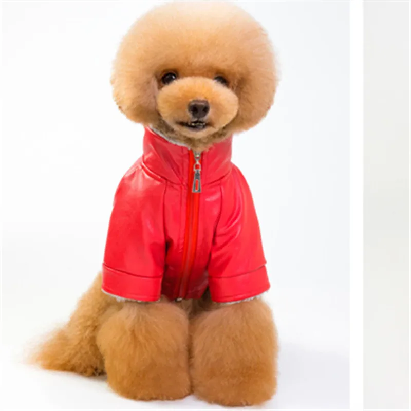 Кожаная куртка для собак зимняя одежда Мопс французская бульдога Пудель