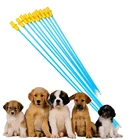 60 шт., одноразовое устройство для искусственного осеменения собак и бульдогов