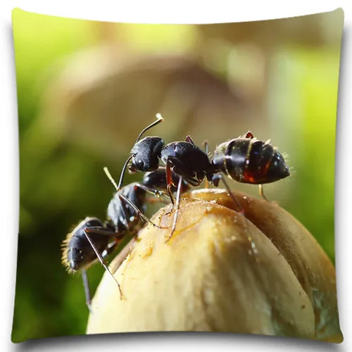 Наволочка из хлопка и полиэстера с изображением черного муравья гриба наволочка