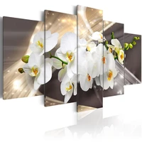 5 pieces hd wall art beautiful white orchid flower abstract exquisite background home decoratives paintings framed pjmt 29