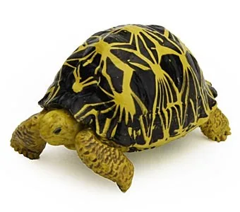 Radiated tortoise Оригинальные японские настоящие дикие животные рептилий черепахи туатара морские игуаны Хамелеон Komodo Дракон Коллекционные фигурки - Цвет: Radiated tortoise