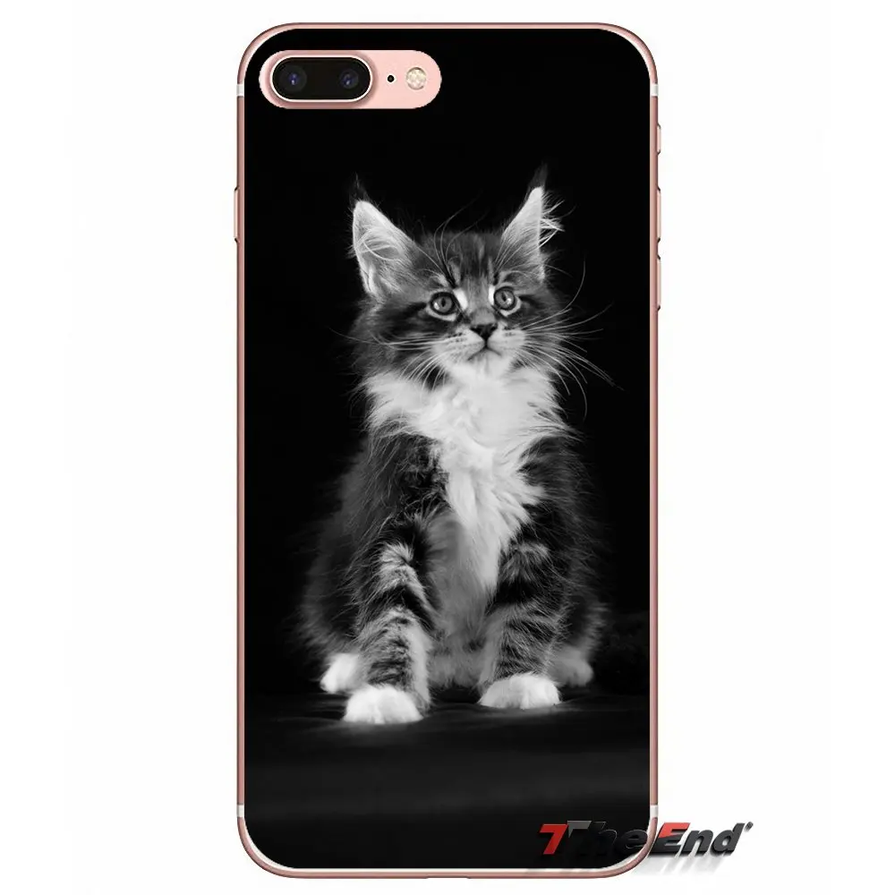 Прозрачный чехол из ТПУ для питомца кота Мейн-Кун серебристый Sony Xperia Z Z1 Z2 Z3 Z5 compact
