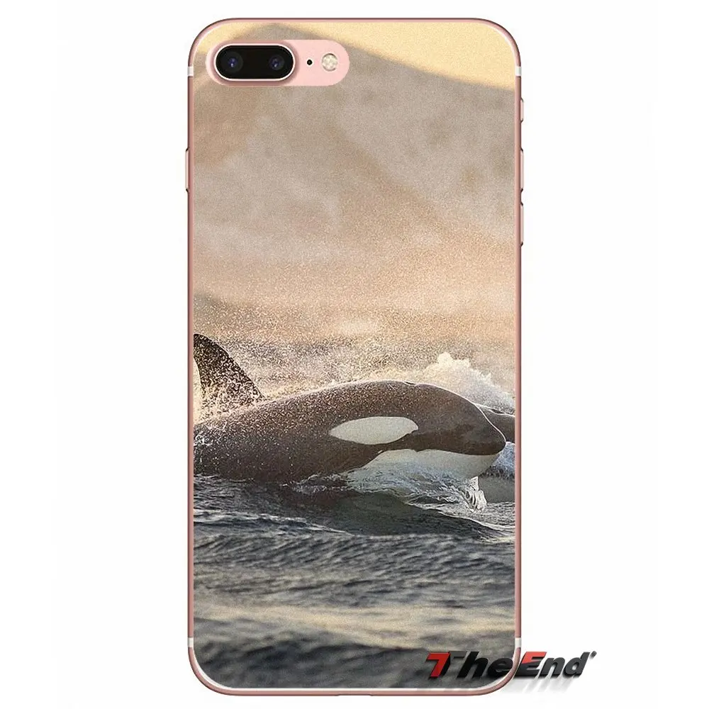 Мягкий чехол для Huawei G7 G8 P7 P8 P9 Lite Honor 4C 5X 5C 6X Mate 7 8 9 Y3 Y5 Y6 II 2 Pro 2017 Killer Whale Orca Inspiration |