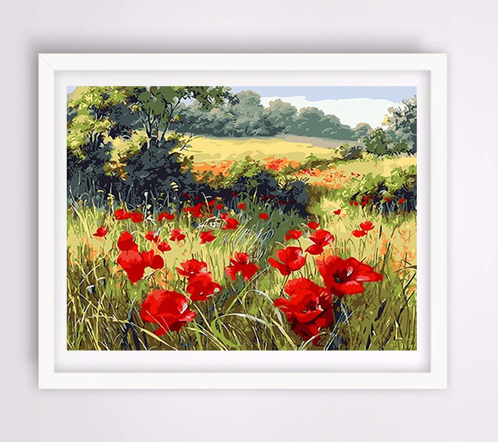 Картина по номерам на холсте красные цветы с рамкой|paint by number|paint numberpoppy picture |