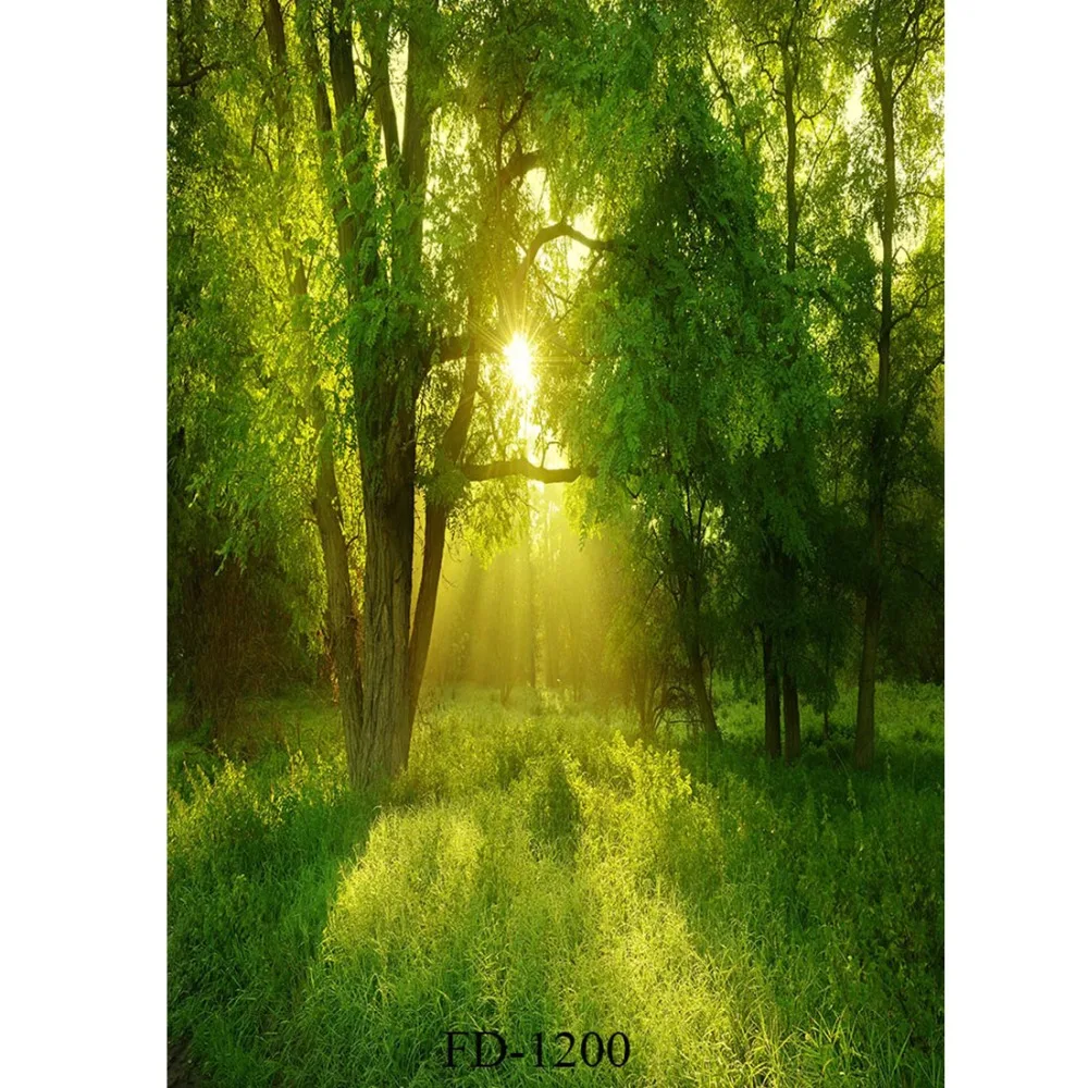 Солнечный свет фон для фотосъемки задний фотографии аксессуары виниловый