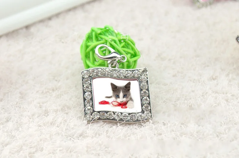 1 шт. Мини фоторамка из нержавеющей стали для питомца ID бирка собака котенок щенок