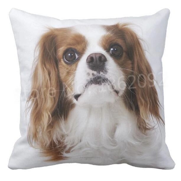 

Cute Cavalier King Charles Spaniels Cushion Cover Lovely King Charles Cavalier Dog Throw Pillow Case Pet Dogs Home Decor Gifts